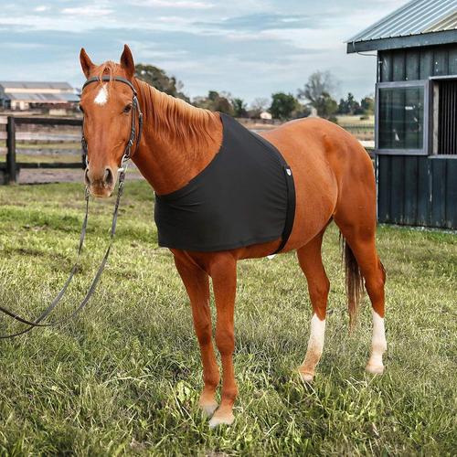 Chaleco Para Caballos Con Protección Para Hombros, Tejido