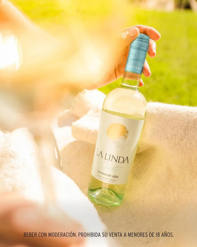 Vino La Linda Sweet Viognier Dulce Natural Luigi Pack X3