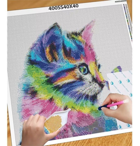 Diamond Painting Gato 30 X 30 Cm + Accesorios Arte Decora