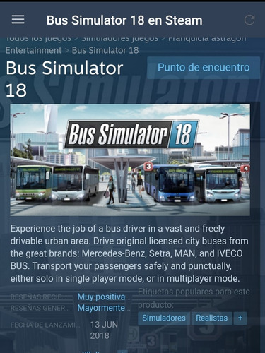 Bus Simulator 18 Steeeam 