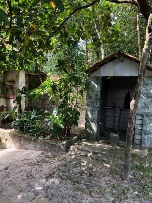 Imagem 4 de 14 de Ampla Chácara Lado Serra Itanhaém-chácaras Glórias 3dorm9787