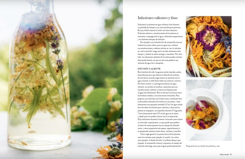 Bebidas Botánicas - Poder Curativo De Las Hierbas