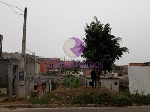 Imagem 4 de 6 de Terreno À Venda, Residencial Novo Horizonte, Mogi Das Cruzes/sp. - Te0120 - 68333869
