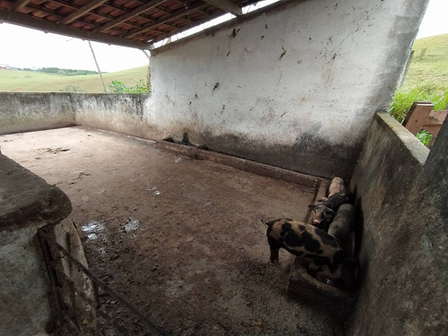 Imagem 10 de 14 de Chácara À Venda, Comunidade Urbana De Andana, Guarapari, Es - Es - Ch0004_supp