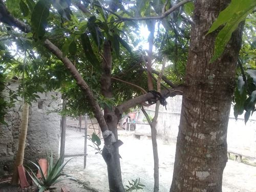 Casa / O Valor E Do Terreno Não Cabe Financiamento Bancário