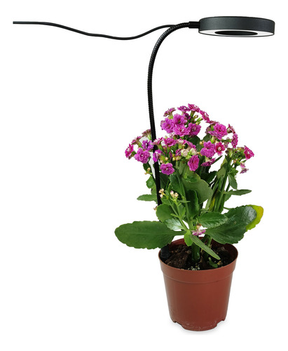 Lámpara De Crecimiento, Relleno De Luz Regulable, Maceta Par