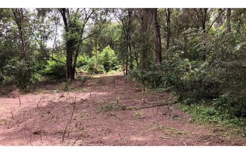 Imagen 3 de 6 de Oportunidad!! Lote En Comuna San Roque Recibe Vehículo!!