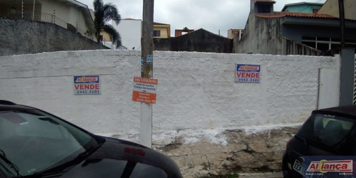 Imagem 10 de 15 de Terreno Residencial À Venda, Jardim Santa Mena, Guarulhos - Te0284. - Ai8243