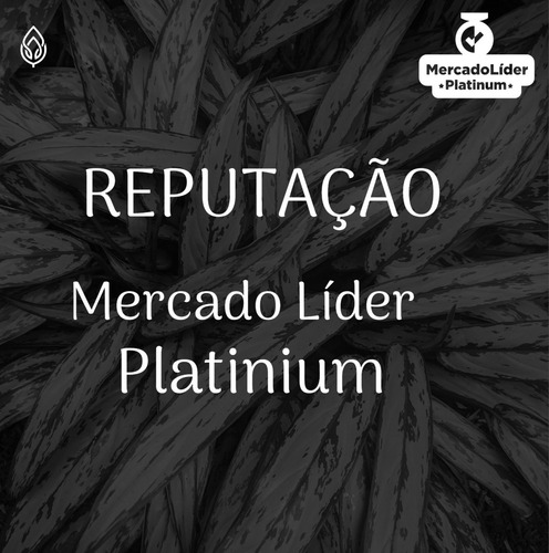Kit Emagrecedor - 1 Super Chá Sb, 1 Linfachá, 1 Sbelthchá