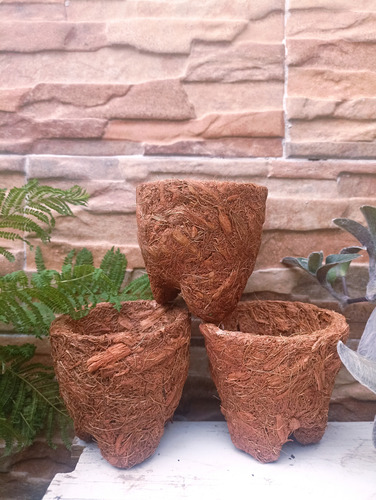 Maceta Biodegradable Coco Molcajete Café Molcajete