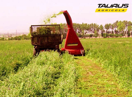 Recolectora De Forraje Taurus Maquinaria Agrícola - Campo