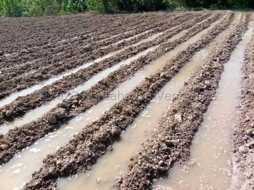 Carlos Colmenarez Vende Fabulosa Finca De 13ha. Con: 2 Lagunas, Agua Por Buco A Gravedad, Posee Electricidad 110 Y 220, Ubicada A Pocos Minutos Del Centro Del Tocuyo Con Acceso Directo De La Autopista