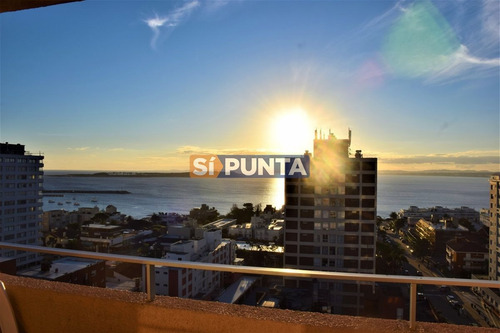 Imagen 4 de 21 de Apartamento En Peninsula, 2 Dormitorios *
