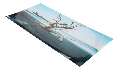 Acuario Fondo Decoración Cielo Marchito Árbol 3d Pvc Self