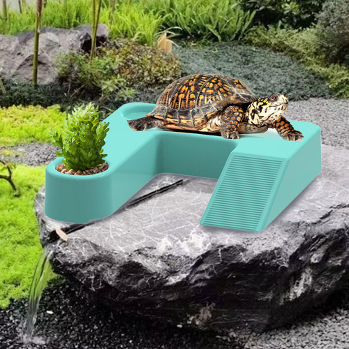 De Para Tortugas Con Rampa Para Reptiles De Para Tortugas