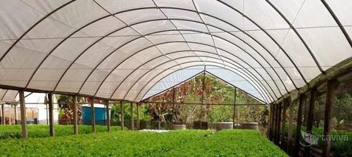 Filme Plastico Para Estufa Agricola 12m X 36m - 150 Micras