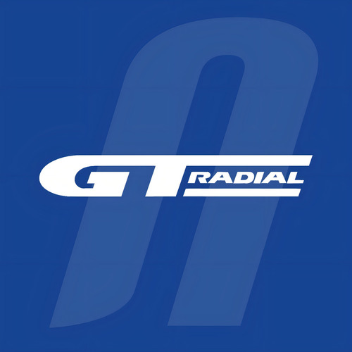 Kit de 4 neumáticos GT Radial Champiro VP1 P 175/70R14 84