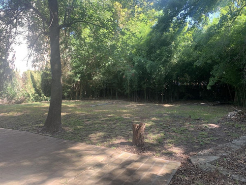 Imagen 9 de 27 de Casa-quinta En Ricardo Rojas (tigre)! -1200 M2-