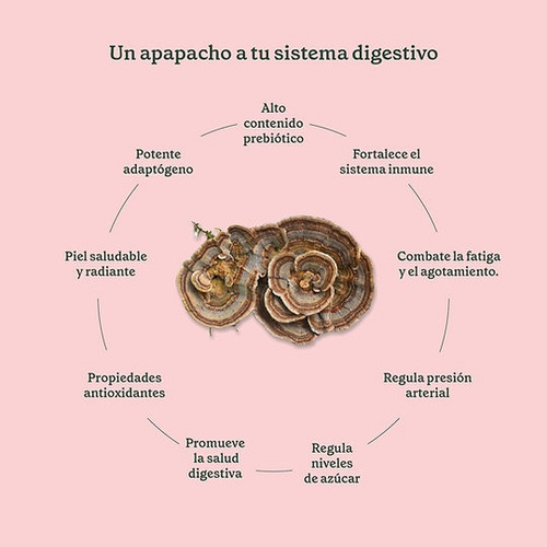 Hongo Adaptógeno Turkey Tail Cola De Pavo 80g Commons
