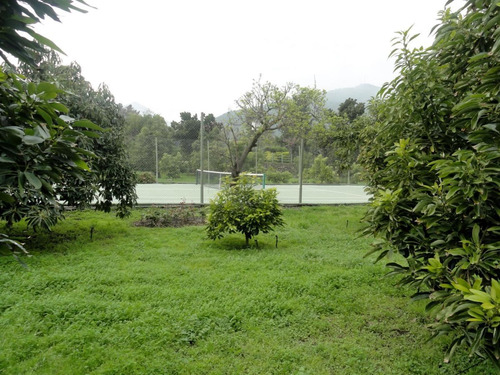 Parcela En Venta En Olmué