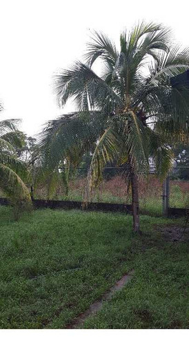 Imagen 7 de 13 de Finca Los Malavares Yaracuy