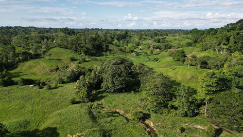 Finca Ganadera En Venta En El Magdalena Medio.