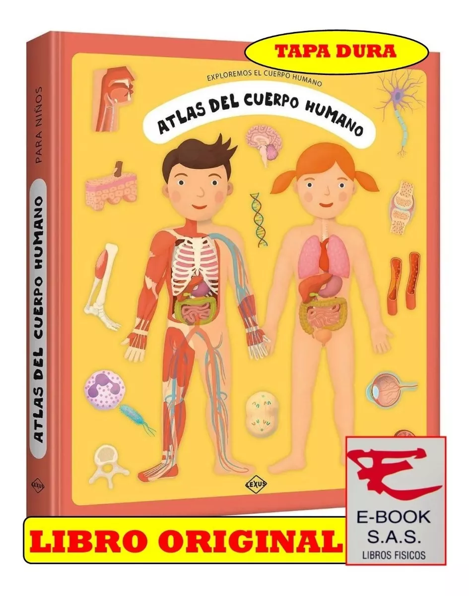 Primera imagen para búsqueda de cuerpo humano