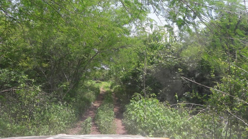 Rancho En Venta En Veracruz Carretera Paso De Ovejas