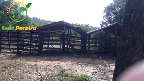 Imagem 10 de 15 de Fazenda À Venda Em Jaú - To - De 57 Alqueirões (pecuária) - 1771