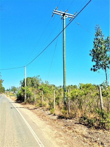 Parcela En Tunquen Excelente Ubicacion.