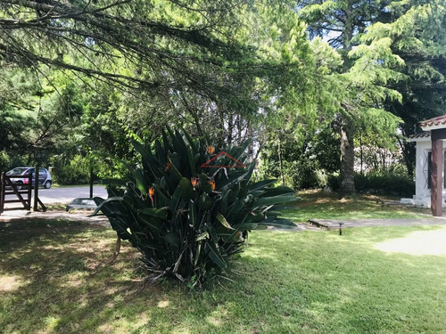Casa En Punta Del Este, Cantegril | Agropunta Inmobiliaria Ref:5146- Ref: 5146