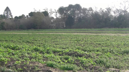 Imagen 5 de 11 de Terreno Campo En Venta Ubicado En Pilar, G.b.a. Zona Norte