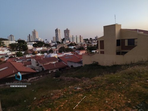 Terreno - Te00006 - 68206054