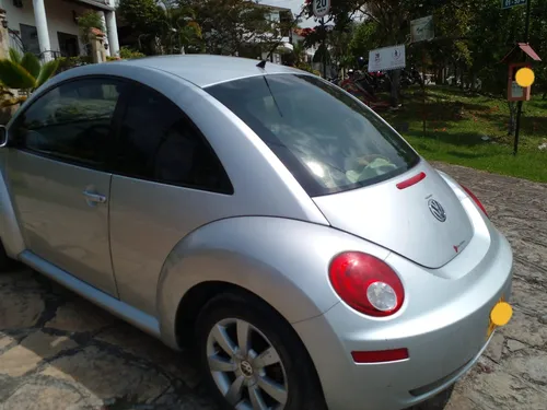 Beetle