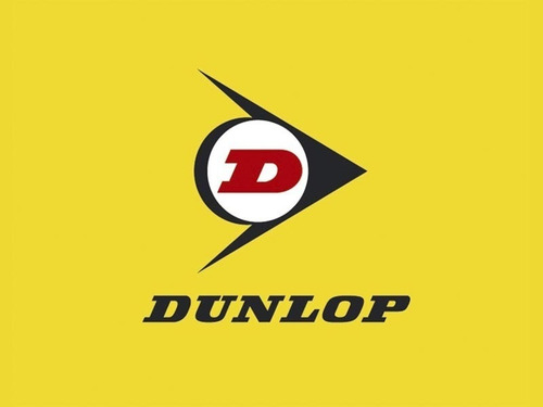 Cubierta Dunlop Sportmax Gpr-300 / 150/60 R - 17 Tl- Trasero