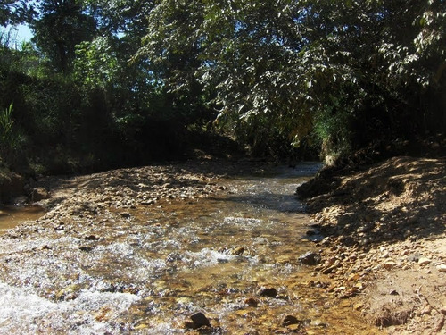 Imagem 5 de 10 de Vendo Ou Troco Chacara Em Taboquinha - Go