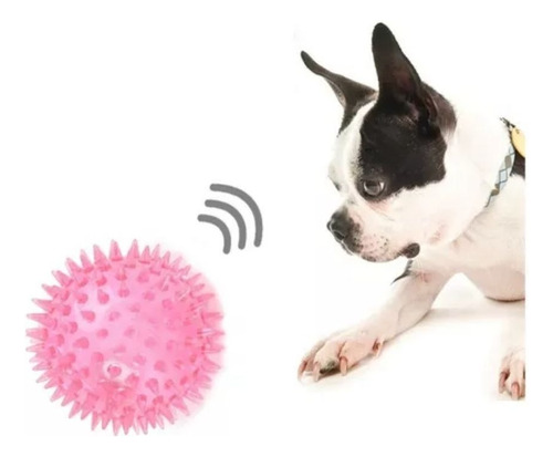 Pelota Chillona Con Luz Led Erizo Pullas Perros Mascotas 