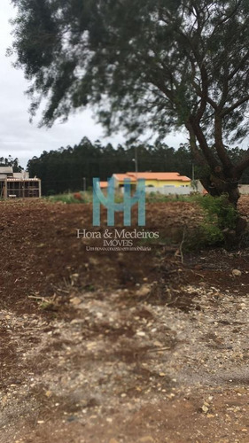 Imagem 4 de 10 de Terreno Para Venda Em Paranapanema, Núcleo Residencial Europa - 071_1-2201461