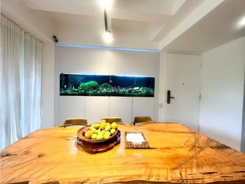 Apartamento Amoblado En Arriendo En El Poblado Parte Alta