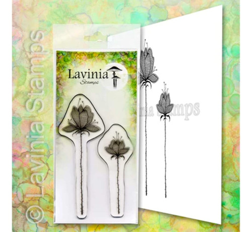 Lilium Set Lavinia Sello Lav654