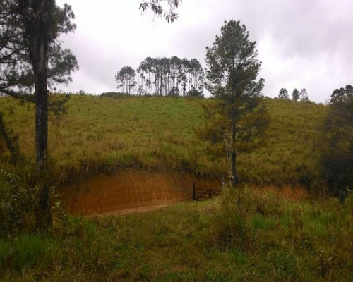 Imagem 8 de 30 de Fazenda - 0195 - 32820324