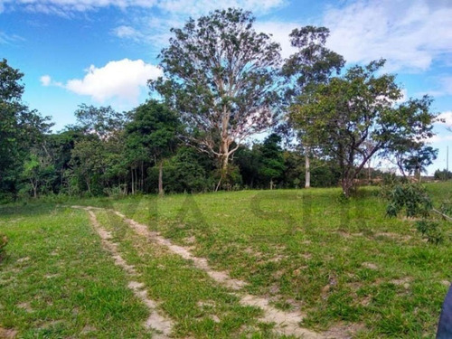 Imagem 21 de 30 de Sitio Cinematográfico À Venda Em Itu, Região Nobre De São Paulo. Ideal Para Moradia E Lazer. Excelente Oportunidade!!! - 54 - 70054601