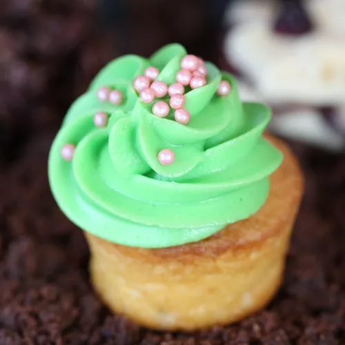 Moldes para Resina Bizcocho 🎂 🍰 Barquilla 🍦Mantecado Helado Cupcake 🧁