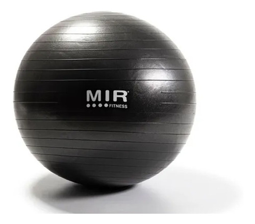 Pelota Pilates 65 Cm Medicinal Esferodinamia Yoga Mir Dpr