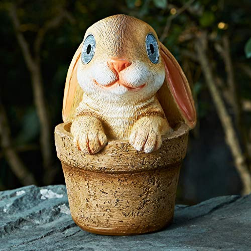 Decoración De Conejo De Pascua: Figura De Conejo De Ja...