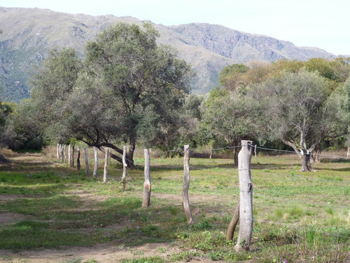 Lote 6 Hectareas Merlo San Luis