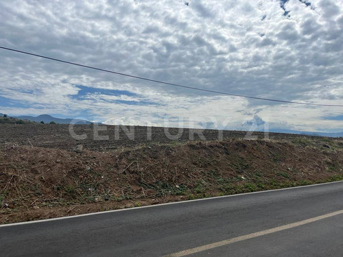 Imagen 8 de 8 de Terreno En Venta En Atlatahuan, Morelos