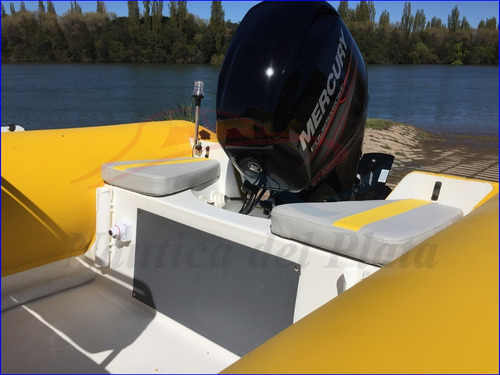 Viking 520 Con Mercury 60 Hp 4 Tiempos Ecologico 0 Horas