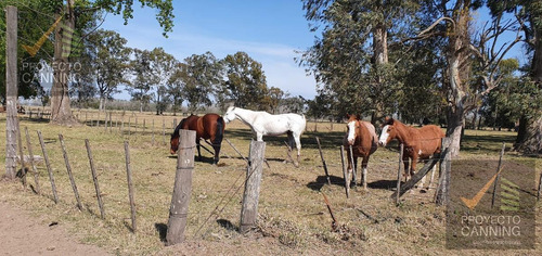Imagen 24 de 26 de Retasado!!! Campo Fraccion En Venta Con Excelente Ubicación - San Vicente