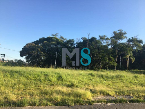 Chácara Com 4 Dormitórios À Venda, 82000 M² Por R$ 16.000.000 - Vila Moraes - Mogi Das Cruzes/sp - Ch0002